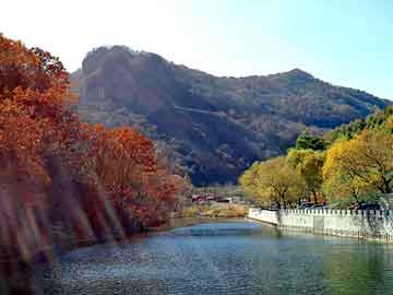 澳门天天彩期期精准平肖，大鹏背景